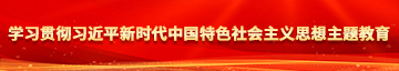 91白虎操逼粉嫩学习贯彻习近平新时代中国特色社会主义思想主题教育